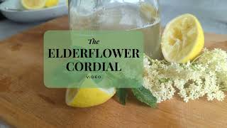 Homemade Elderflower Cordial A Delicious Summer Drink 🍹 [upl. by Merete]