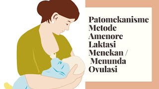 PATOMEKANISME MAL METODE AMENOREA LAKTASI MENUNDAMENEKAN OVULASI KB ALAMIAH [upl. by Gilly782]