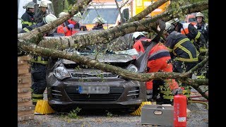 Sturm und Unwetter fordern Todesopfer „Xavier“ fegt über Hamburg hinweg [upl. by Alexandre]