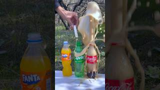 Big experiment 🔥 Mentos vs Cola vs Fanta and Sprite [upl. by Aerdnac369]