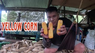 Update sa munting Farm kaagapaymixvlogs9819 [upl. by Lehcyar790]