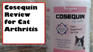 COSEQUIN REVIEW FOR CAT ARTHRITIS [upl. by Jarin]