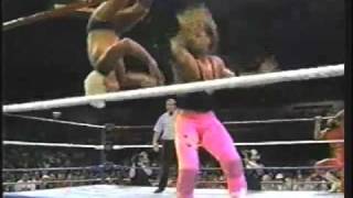 WWF Bret quotHitmanquot Hart  Tom Petty music video [upl. by Aleedis128]