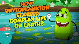 How Phytoplankton Started Complex Life On Earth  Plankton  The Dr Binocs Show  Peekaboo Kidz [upl. by Ydoj892]