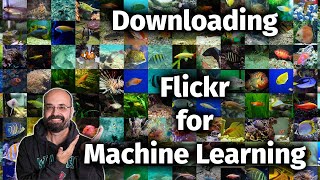 How to Download Flickr Images by Keyword for Machine Learning Projects with Python [upl. by Ziladnerb]