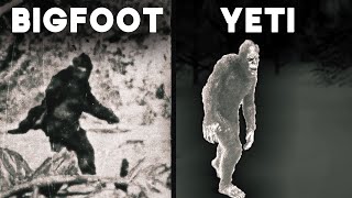 The Bigfoot amp Yeti Files Decades of Encounters and Investigations  Documentary [upl. by Sallyann471]