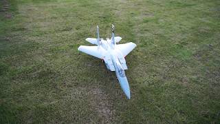 Freewing F15 C RC JET EDF Flight on Gras [upl. by Enahc]