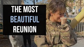 Military wife reunites with best friend🐕🐶 [upl. by Lathe]