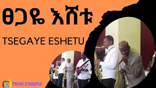 Tsegaye Eshetuፀጋዬ እሸቱ   Best wedding Stage Performance [upl. by Eseerehc]