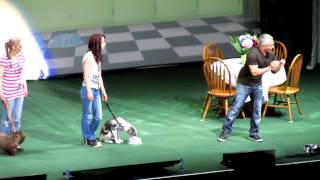 puppy cesar millan ahoy [upl. by Beker]