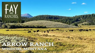 Tour of Montana Ranch For Sale  Arrow Ranch  14982± Acres  Big Hole Valley Montana [upl. by Ecinwahs]