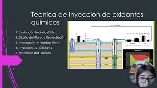 TRATAMIENTOS QUÍMICOS IN SITU Y BARRERAS REACTIVAS PERMEABLES [upl. by Winshell203]