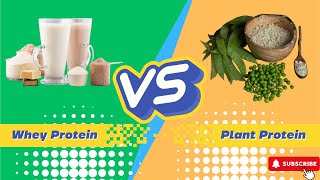 WHEY VS PLANT PROTEIN Which Is BEST For YOU [upl. by Attennod762]