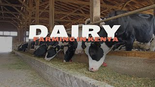 DAIRY FARMING IN KENYA MANAGING A SMALL DAIRY FARMAFRICAN VILLAGE LIFE [upl. by Dlonra]