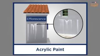 How to Deal with Efflorescence by ROXSiL Breathable Paint [upl. by Nyletac]