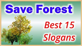 Save Forest slogan in english Write slogans on the importance of forest Save tree slogans [upl. by Ecidnacal]