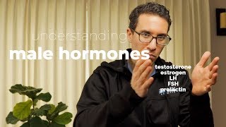 Doctor explains How to Understand Male Hormones and Fertility [upl. by Ardnaet]