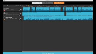 How To Easily Synchronize Audio With PluralEyes 40 On Premiere Pro [upl. by Susana117]