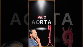 What is Aorta [upl. by Aehsat]