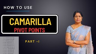 Camarilla Pivot Points for Beginners  Part  I   NIFTY amp BANKNIFTY [upl. by Natividad342]