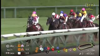 G2 SANKEI SHO CENTAUR STAKES 2024 [upl. by Eladal878]