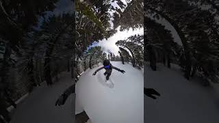 Sometimes you have to break a few branches snowboard snow splitboarding [upl. by Landan]