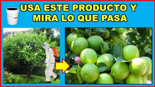 Prueba este biofertilizante y cosecharás muchos más frutos Discovery Mundo [upl. by Lore]