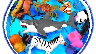 Lots of Zoo Wild Animals with Real Animal Videos And Toys For Kids Children [upl. by Suraved]