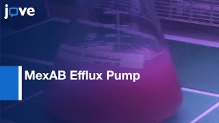 Investigation Of MexAB Efflux Pump From Pseudomonas aeruginosa l Protocol Preview [upl. by Kcirdec285]