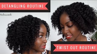 Detangling and Twistout Routines  Natural Hair Care  Nakawunde [upl. by Neff299]