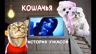 КОШАЧЬЯ ИСТОРИЯ УЖАСОВ  НЕ ОСТАВЛЯЙ КЛЮЧИ СОСЕДЯМ  Кевин Билли Ариела и Сладун одни дома НОЧЬЮ [upl. by Eiuol68]