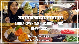 CHINATOWN 20 in Flushing New York CHEAP AND AFFORDABLE CHINESE FOOD [upl. by Eico]