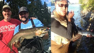 Clackamas River Coho amp Steelhead and American River Steelhead [upl. by Marvin]