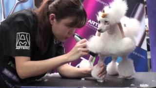 ARTERO Continental Poodle Clip Tutorial [upl. by Noissap]