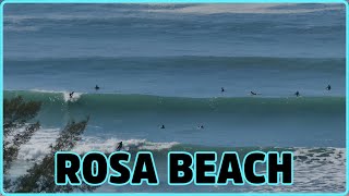 Praia do Rosa Surf trails and many more [upl. by Enyaz]