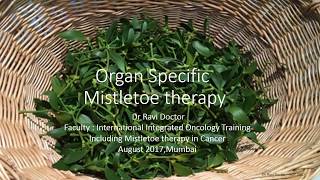 Organ Specific MistletoeViscum Album Preparations In Cancer Treatments Dr Ravi Doctor [upl. by Meda]