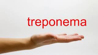 How to Pronounce treponema  American English [upl. by Reklaw]