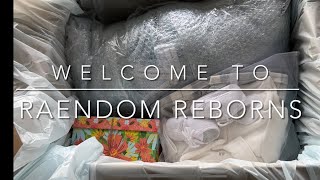 Reborn baby boy homecoming  Friday box opening 🥰 [upl. by Annawaj]