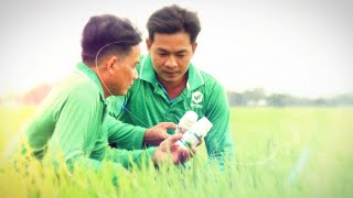 IDA GLOBAL ĐỒNG HÀNH CÙNG NHÀ NÔNG [upl. by Tasia]