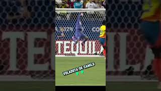 Atajada legendaria goalkeeper porteros atajadas viralvideo viralshorts [upl. by Gav509]