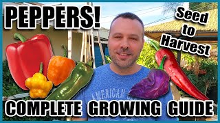 Pepper Growing Tips  Complete Gardening Guide on How to Grow Peppers  Grow More Peppers per Plant [upl. by Alius781]