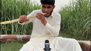 ASMR Sugarcane  Crunchy and Juicy EATING SOUNDS [upl. by Aeet]