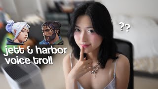 jett voice trolling with the harbor voice actor [upl. by Teerpnam723]