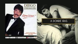 A Donde Iras  Diego Verdaguer Audio Oficial [upl. by Yauq]