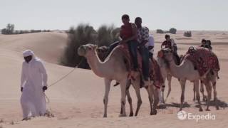 Things to Do in Dubai  Expedia [upl. by Ganley986]