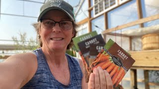 Planting Awesome Carrots in Raised Bed [upl. by Nuahsed]