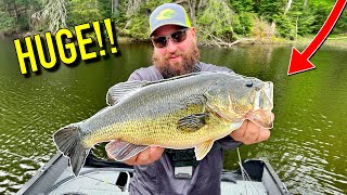 Fishing a Hidden Lake for GIANT Mountain Bass Indian Lake New York Fishing [upl. by Boonie294]