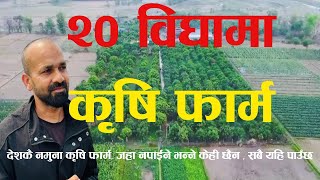 रुपन्देहीमा 20 बिघा मा कृषि फार्म जहाँ नपाईने भन्ने केही छैनagriculture farm Nepal [upl. by Anaidiriv757]