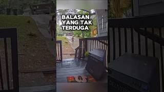 Balasan yang tak terduga shortvideo [upl. by Whelan303]