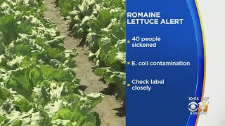 Romaine Lettuce From Central California Recalled Due To EColi Contamination [upl. by Lezirg]